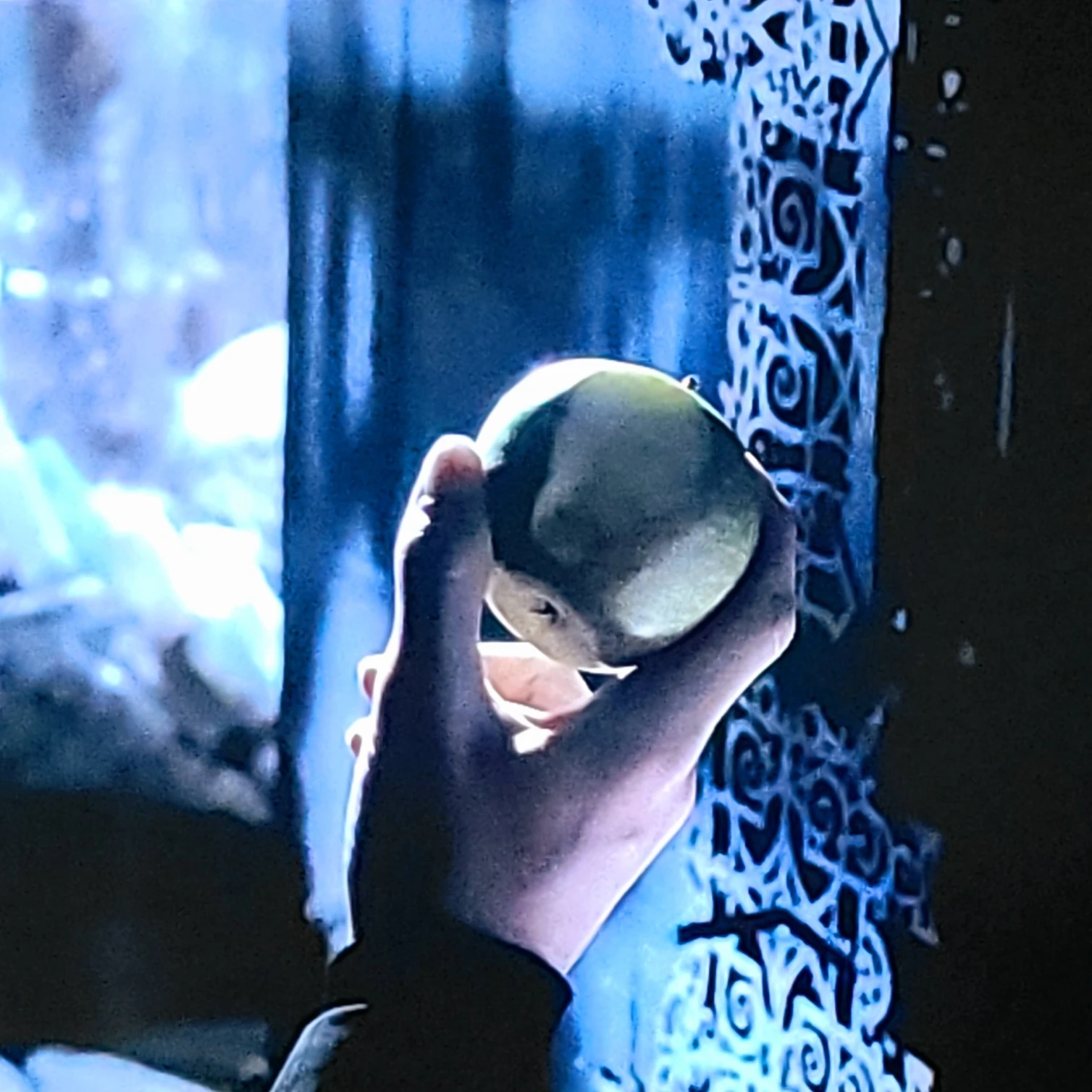 Draco Malfoy