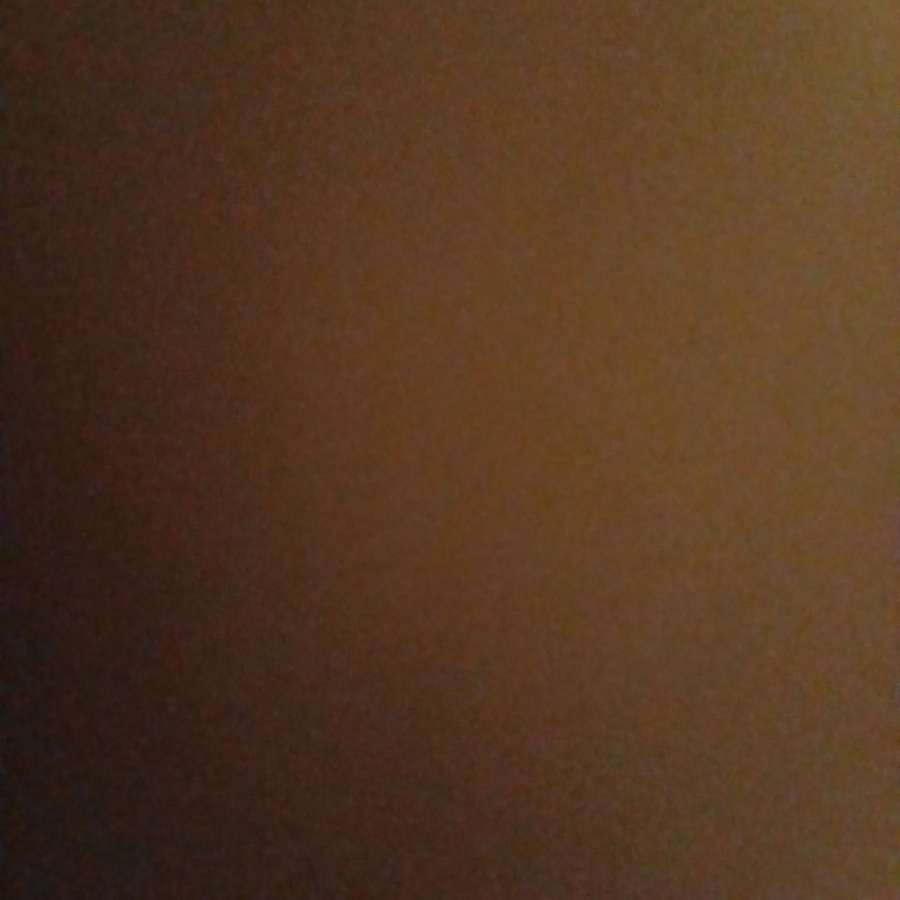 FuzzyCrib0799의 고양이 산책 유희황