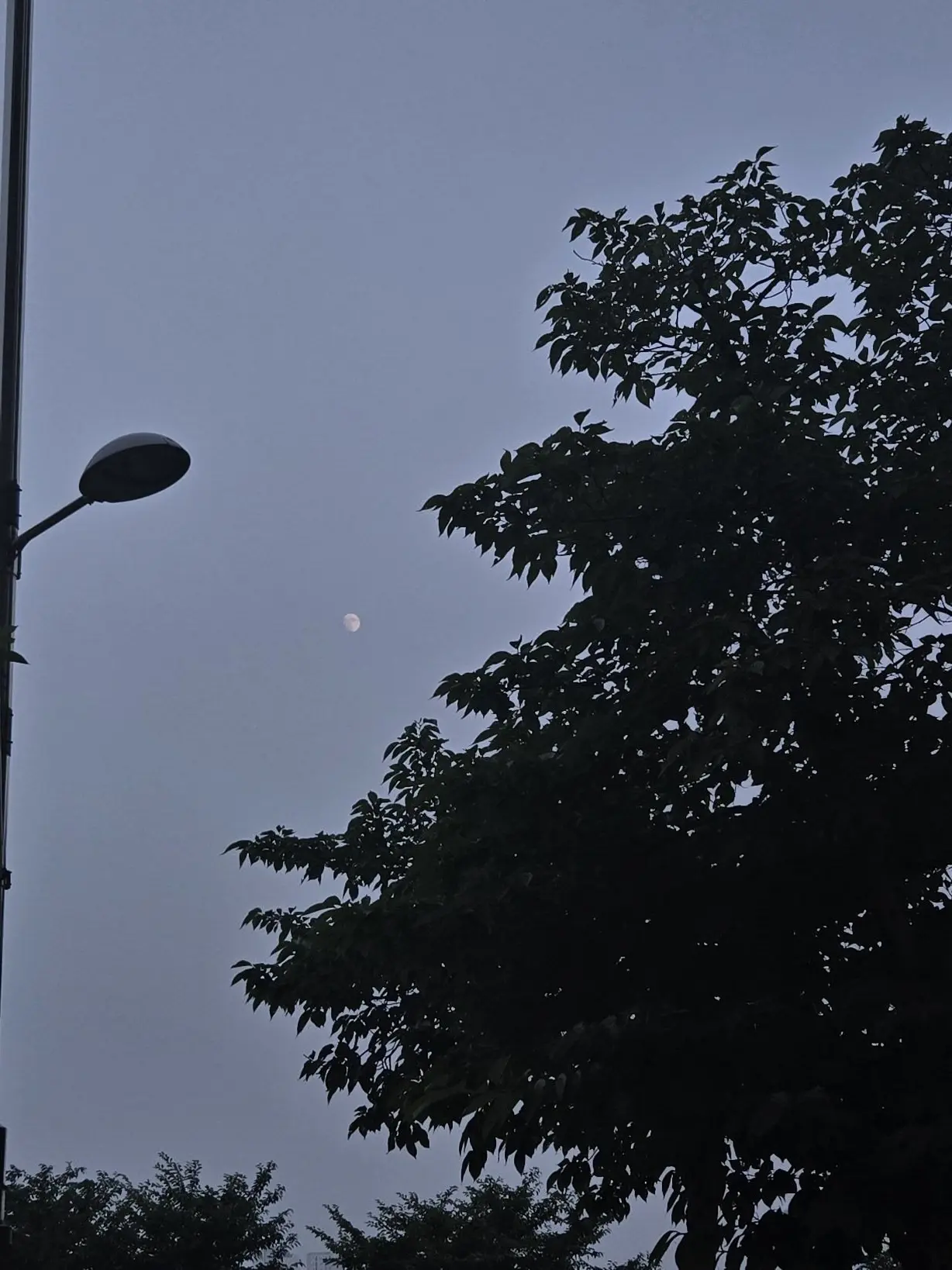 Crystal1004_45의 새 삶을 살게 해주마