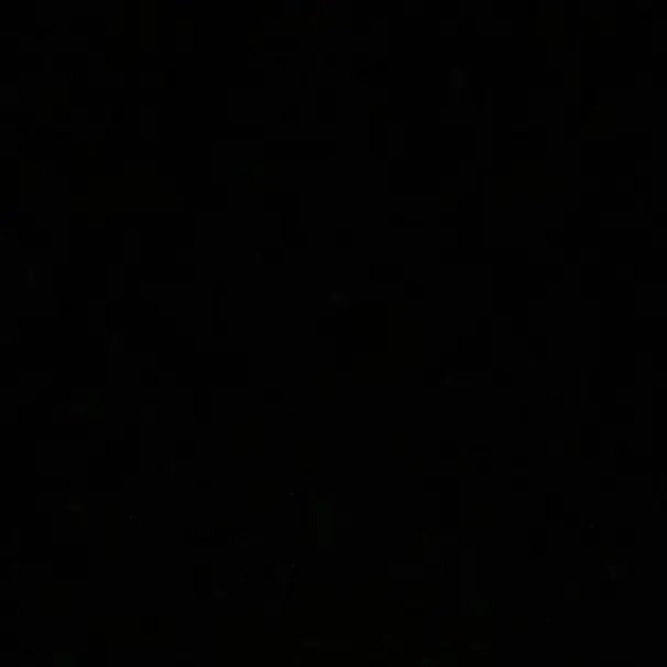 gyu_13의 bamgyu