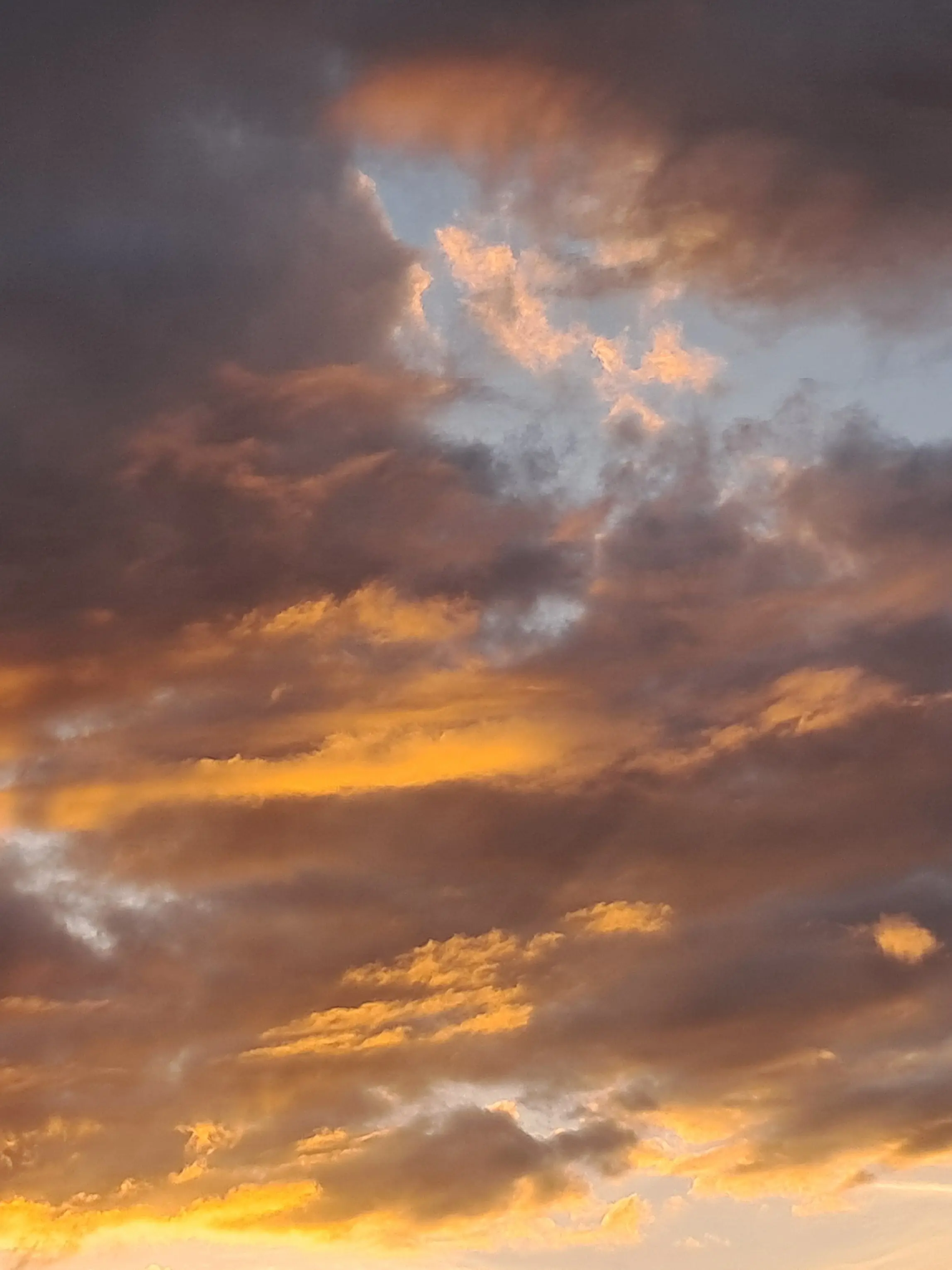 sjskk의 미수반 팀원들. 과부하에 혼란까지?!