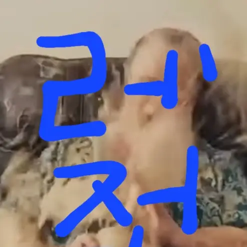 Wkddbksjtr1234의 욕배틀 연습할거면 이거하든가