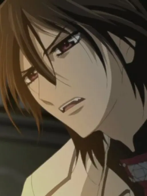 HeavyShock5326의 Vampire knight