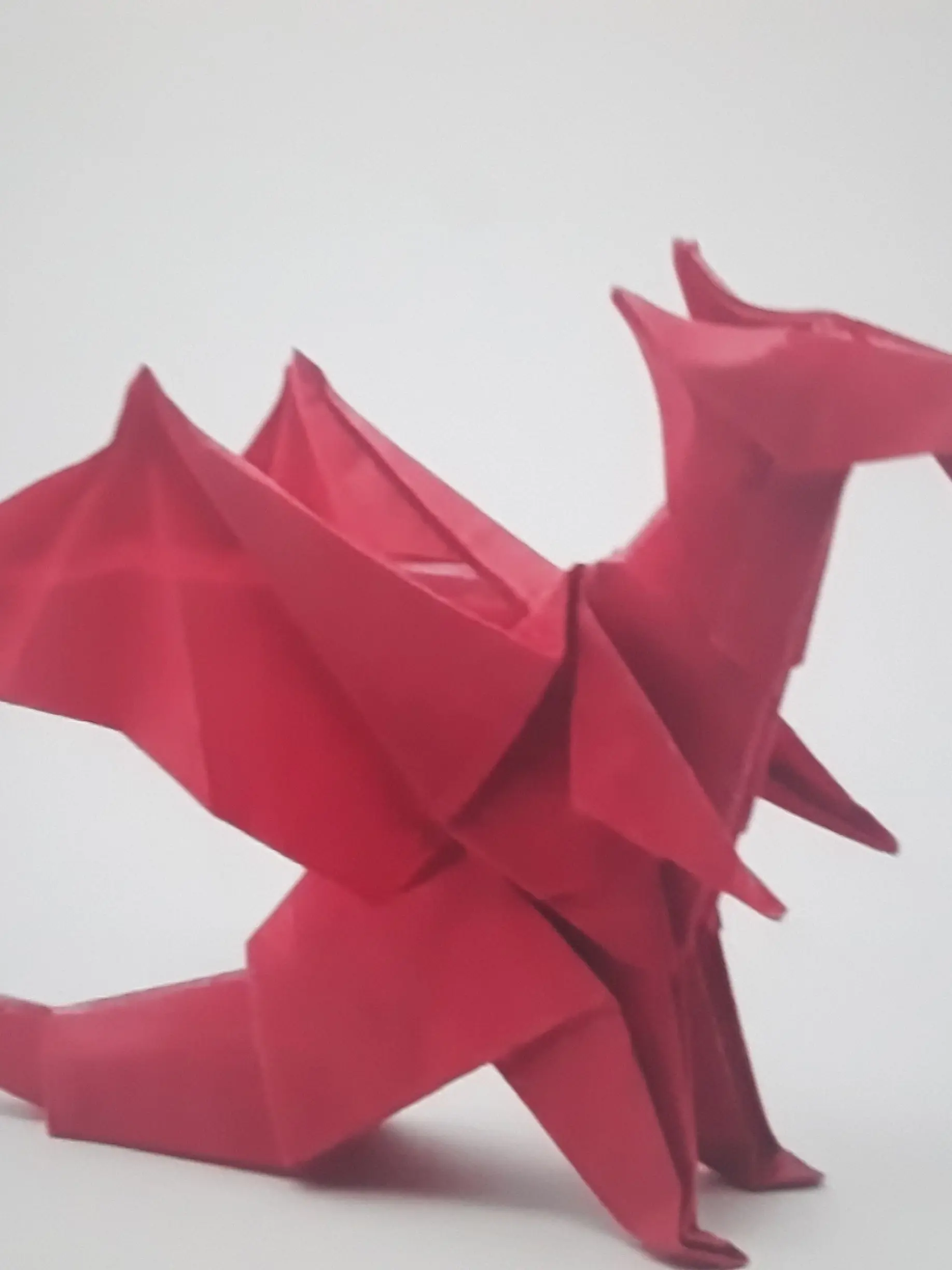 PolitePan5303의 판타지 월드