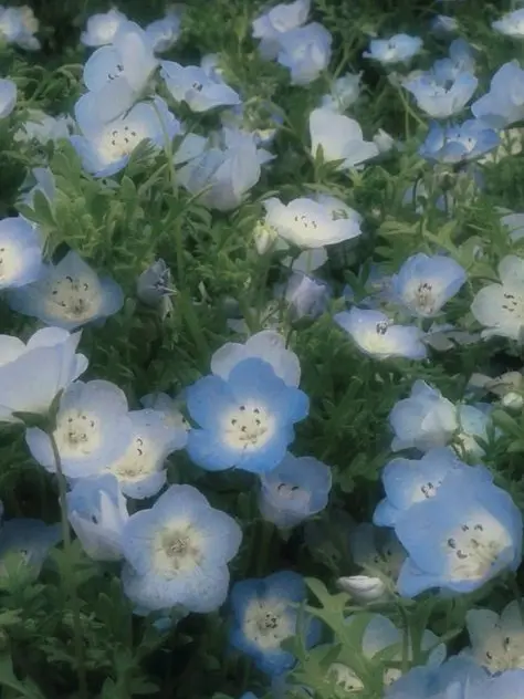 Guren120804의 隣国の王子は恋をした