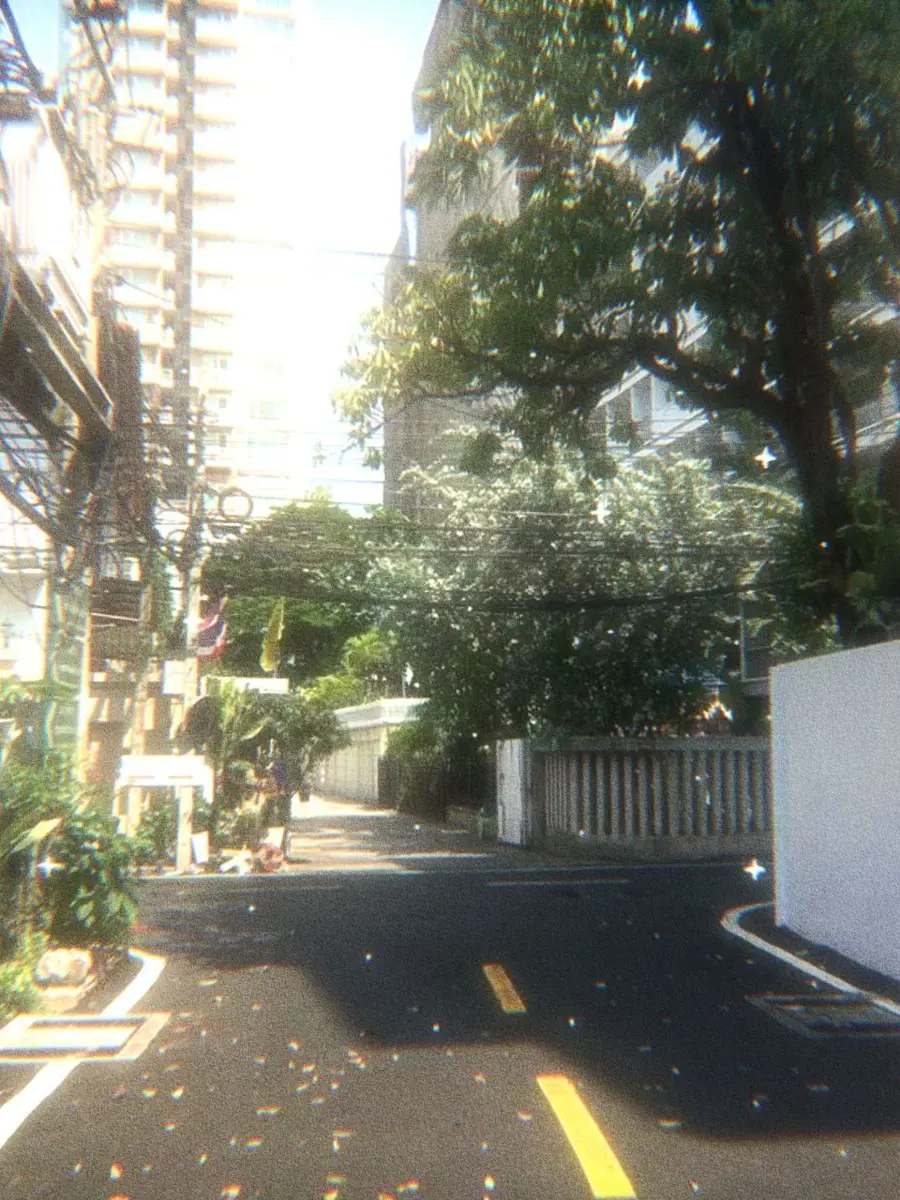 iikii_의 ㅤ
