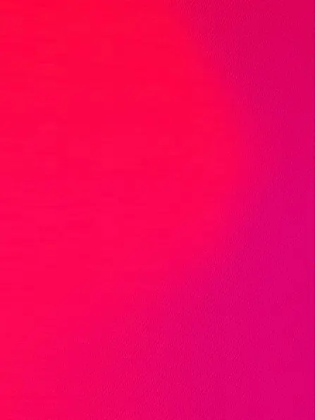 BlandBaby3849의 빨간 4남매 가족