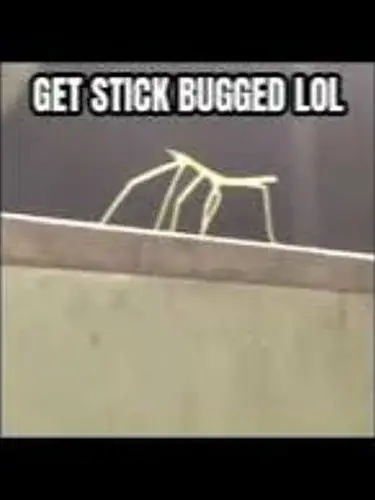 StablePage5550의 층간소음 빌런