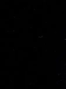 SafeSwine7241의 Royal44