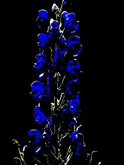 Kally_X의 나만 봐줘요. (집착뤼엔!!!)