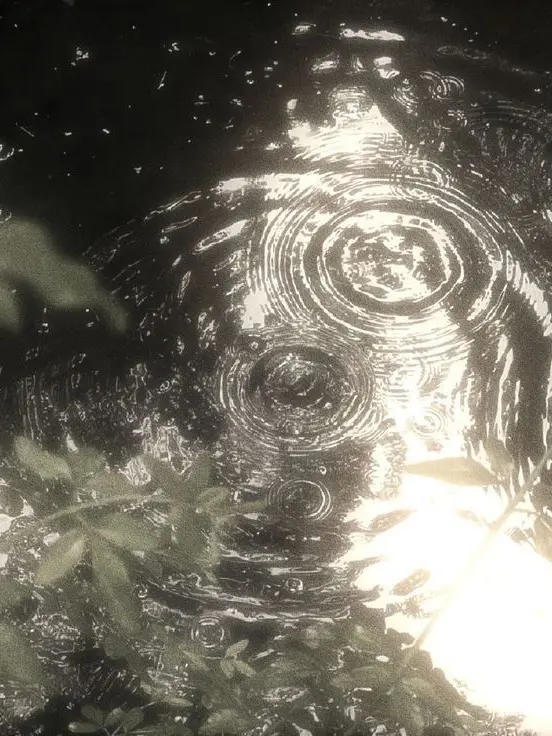 opera_love의 네임이.. 두개인게 정상인가요?