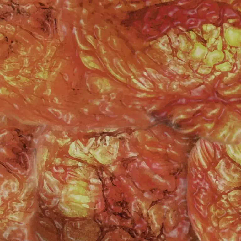 melonwater_suika의 何もない。