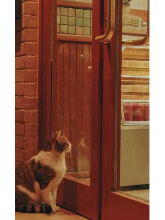 AntsyFoot9114의 돌아 와..