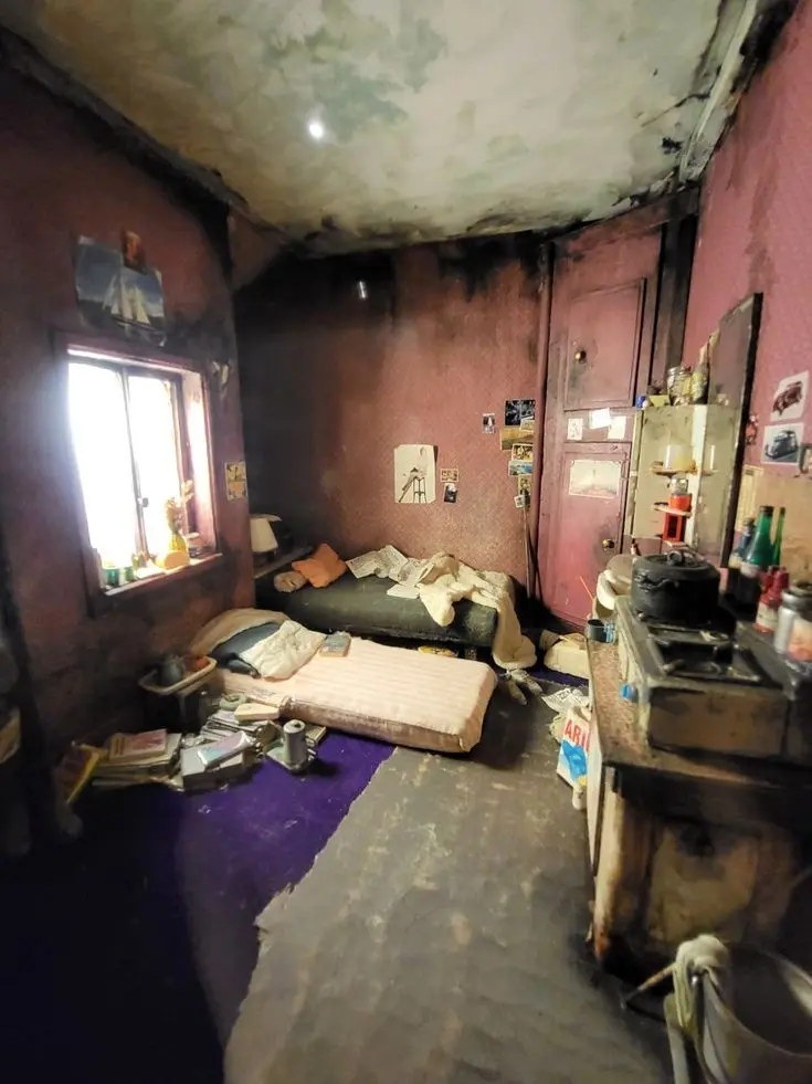 plant___0x0의 私達から見た日常は "非日常"