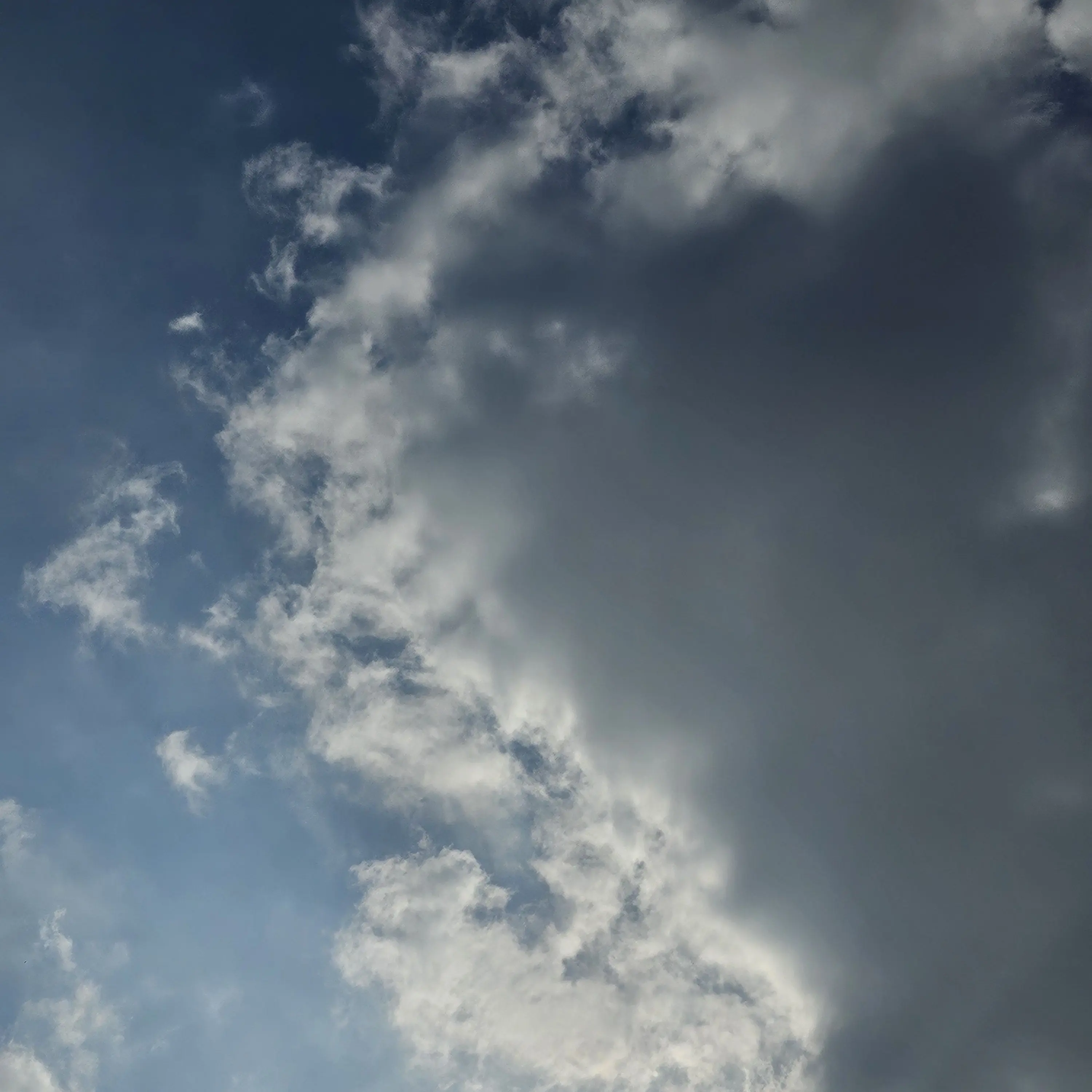 LargeLove9291의 여자 유튜버 초등학교