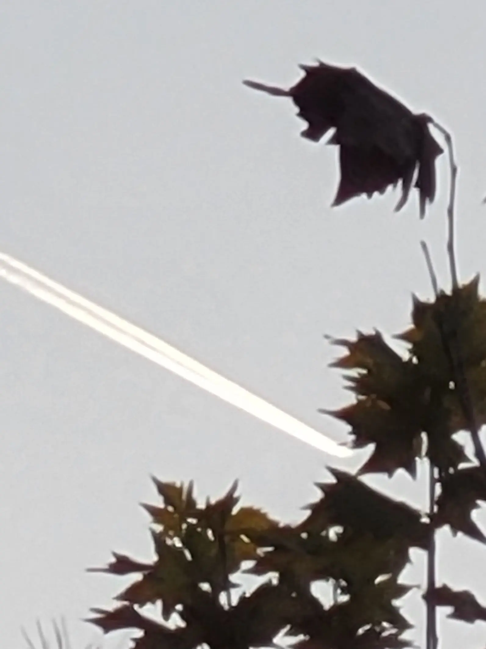 Welcome.tohere의 어쩌다 저런 사람들과...?