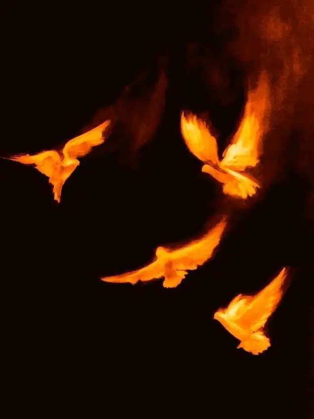 Haven_의 우리의 낙원을 향해