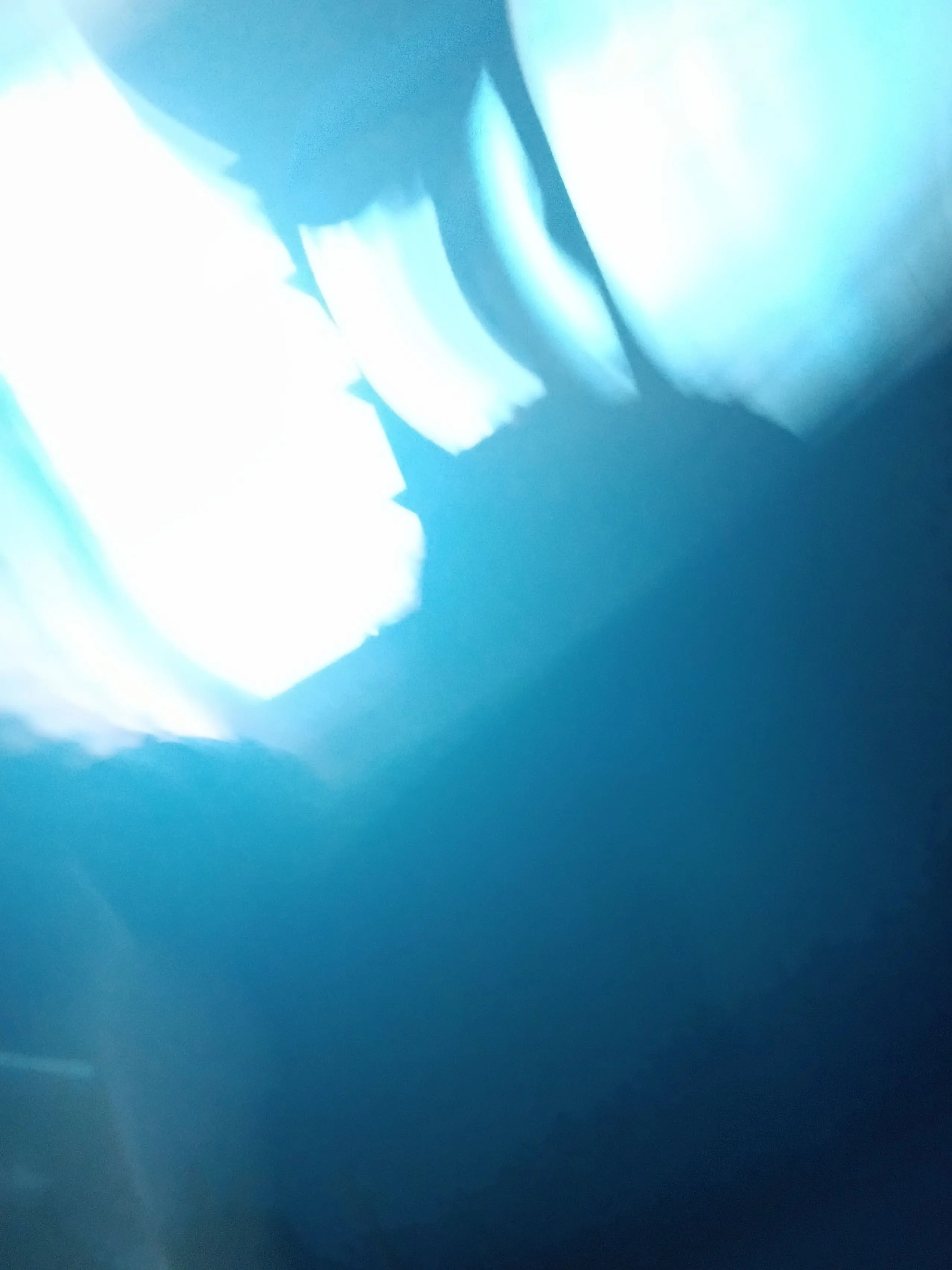 Igzjvzkb의 설레는(?)동거라이프