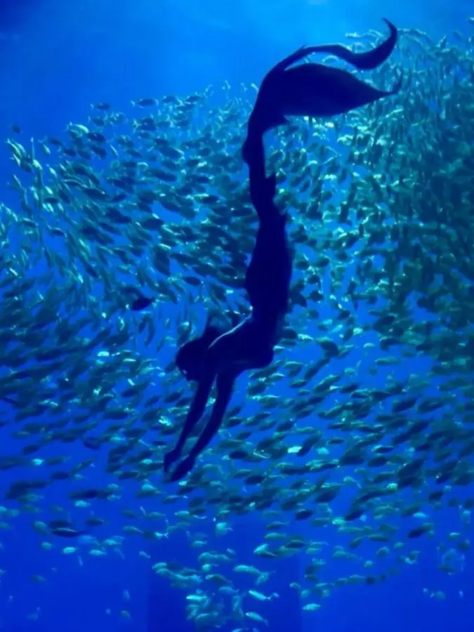 Help_its_crushing_me의 At The Aquarium