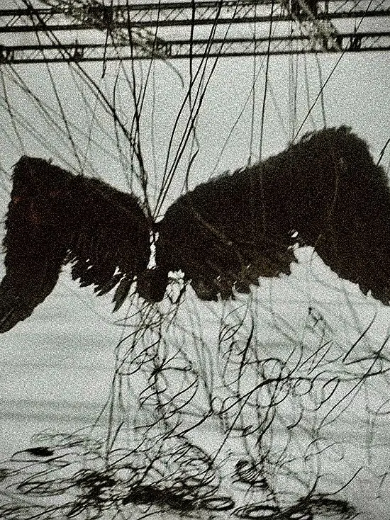 Hooked의 ANGEL