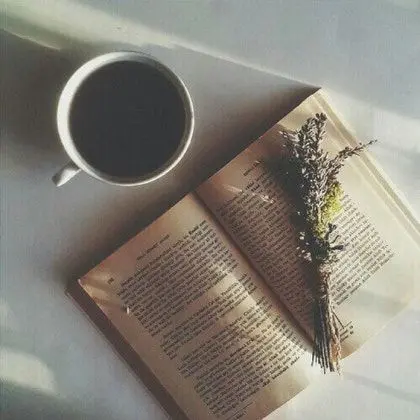 MMangkong의 감정을 못 느끼는 너에게