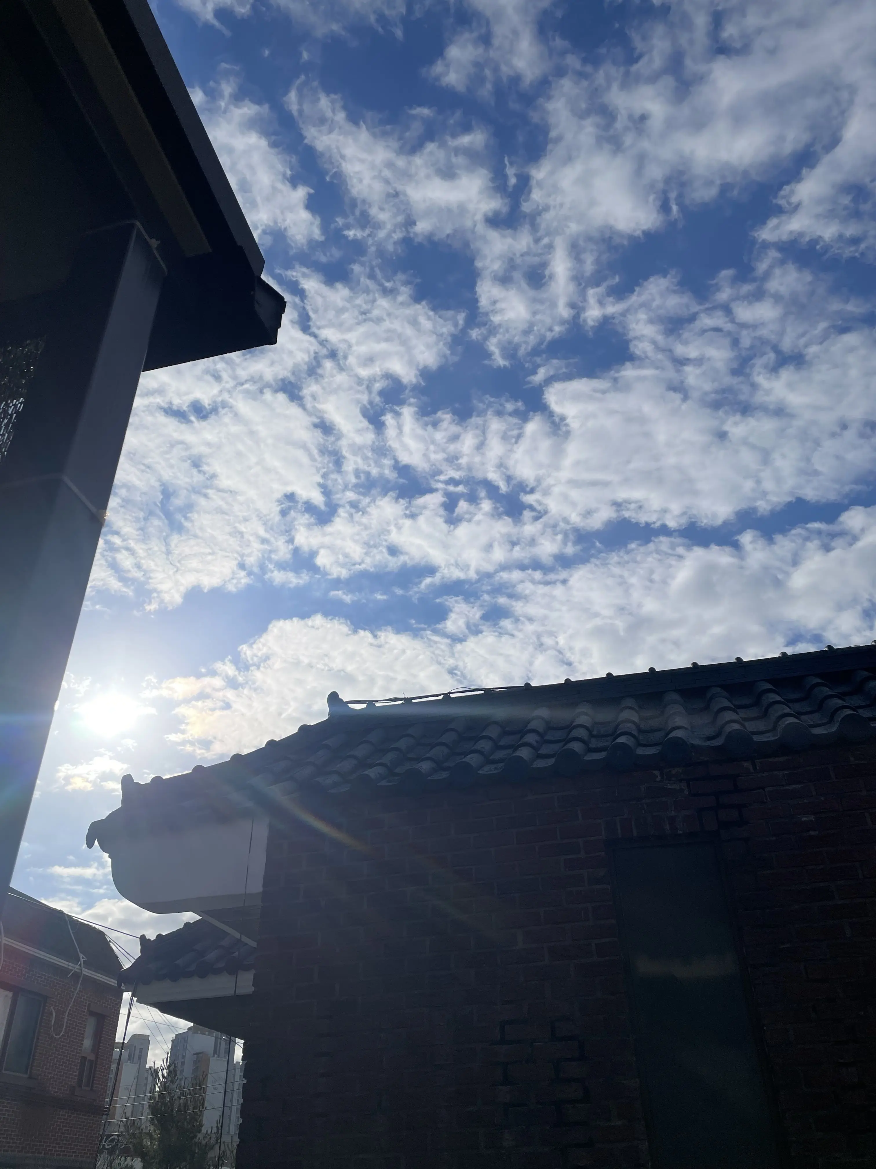 FluidEra2836의 개인용