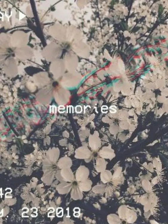 Dream0101의 백일몽 허위매물 트리오