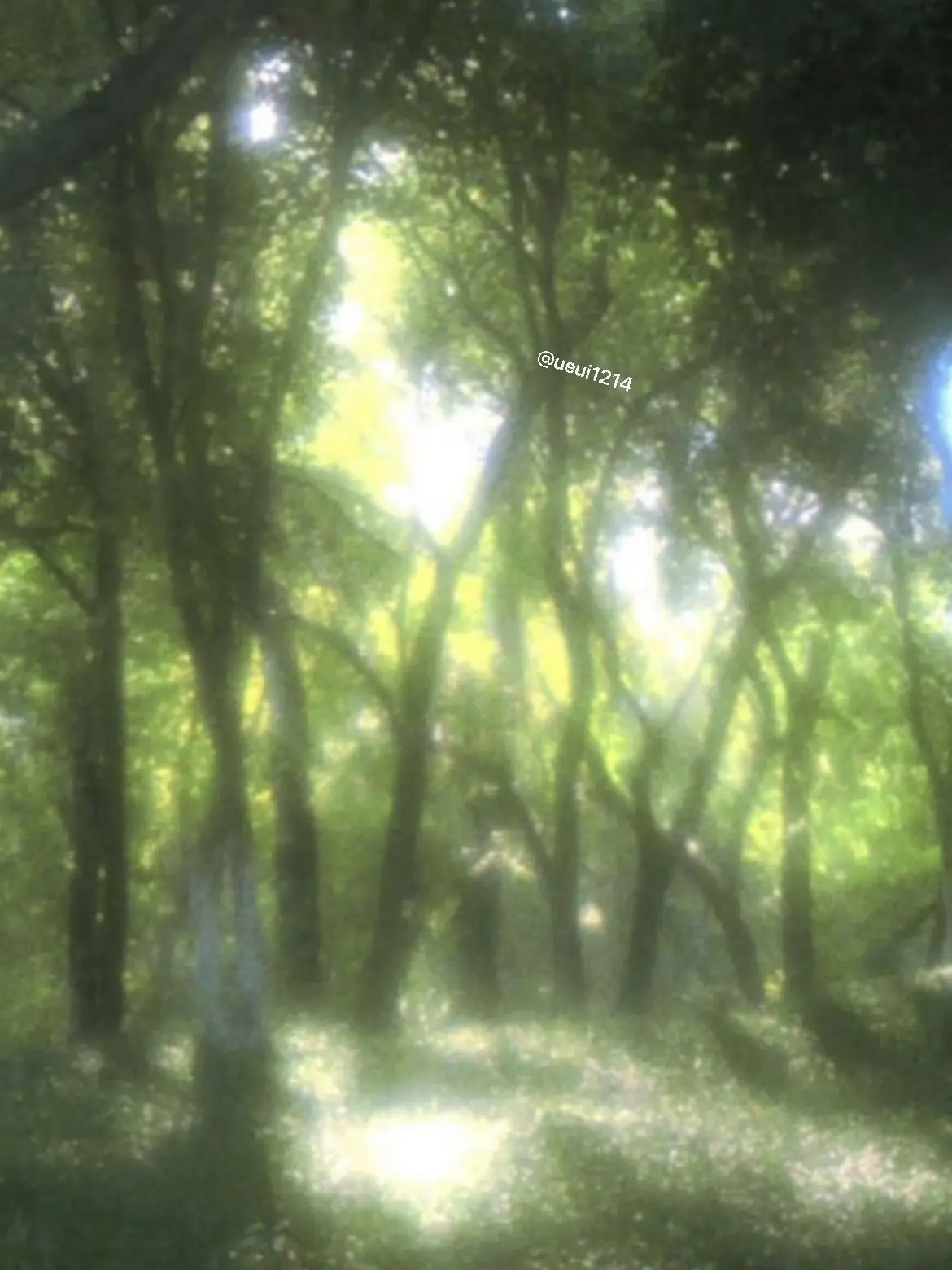 ueui1214_dukgae_love의 0911