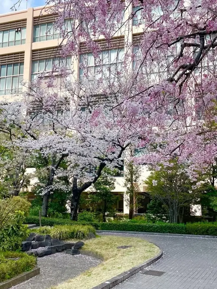 gejb.operationego1224의 ワンエン学園