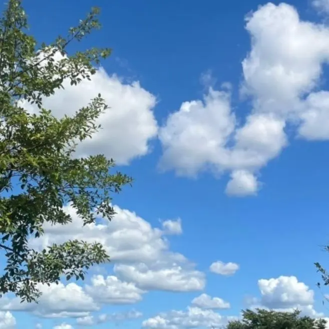 LoveMochi.의 도대체 왜 그러는데?