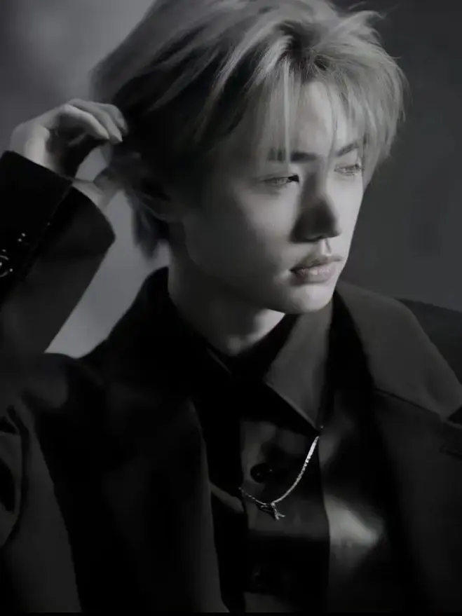 Awan의 —•》 𓆩 𝐶𝑎𝑛𝑖𝑛𝑒𝑠 & 𝐵𝑙𝑎𝑑𝑒 𓆪