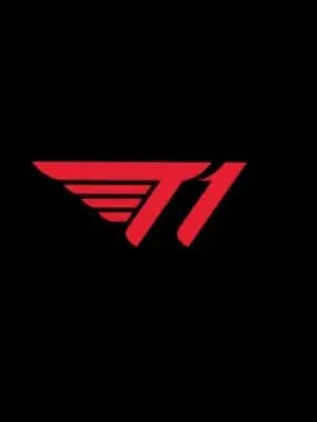 TidyFan2909의 T1에 이적온 {{user}},이여우