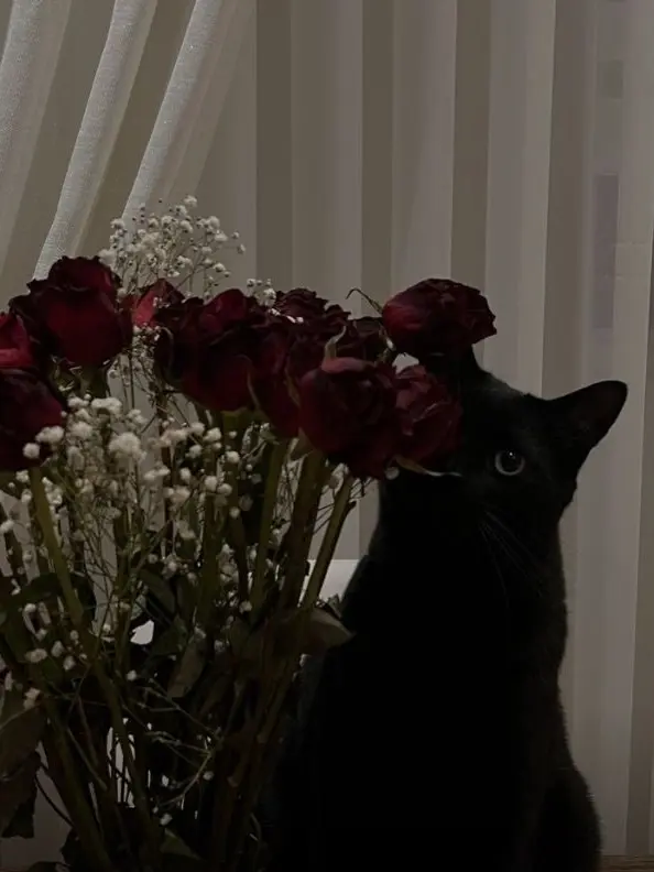 h.s29의 サンウォン