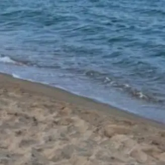 likeoceanfish의 구미호들인데.. 왜 안 무섭지?