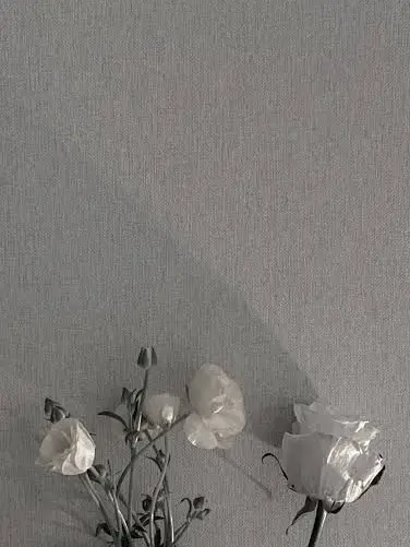 kk404의 名探偵コナンとHUNTERHUNTER