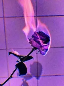 Finae_433-10의 한노아