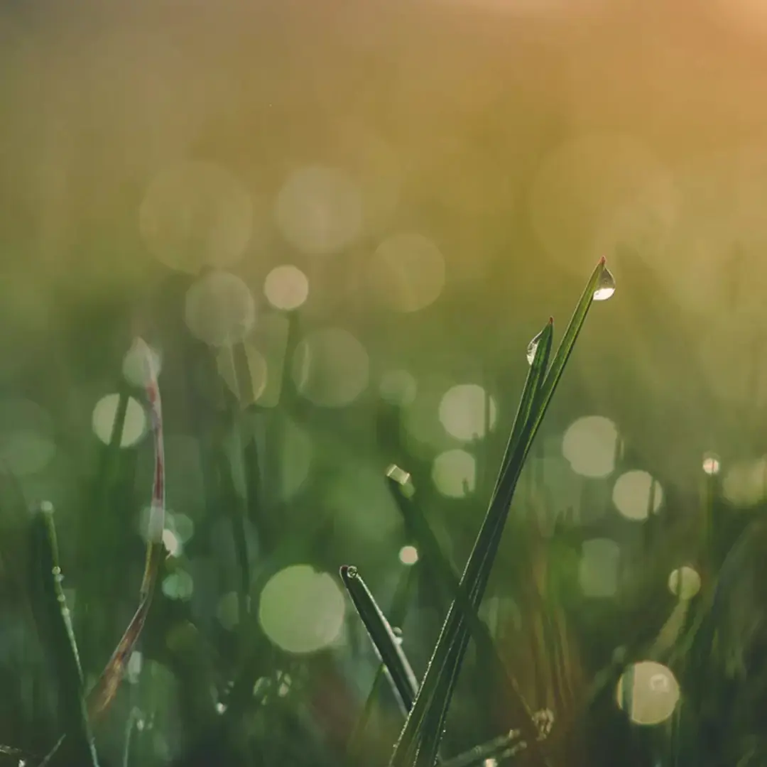 BleakTwin3661의 自分用