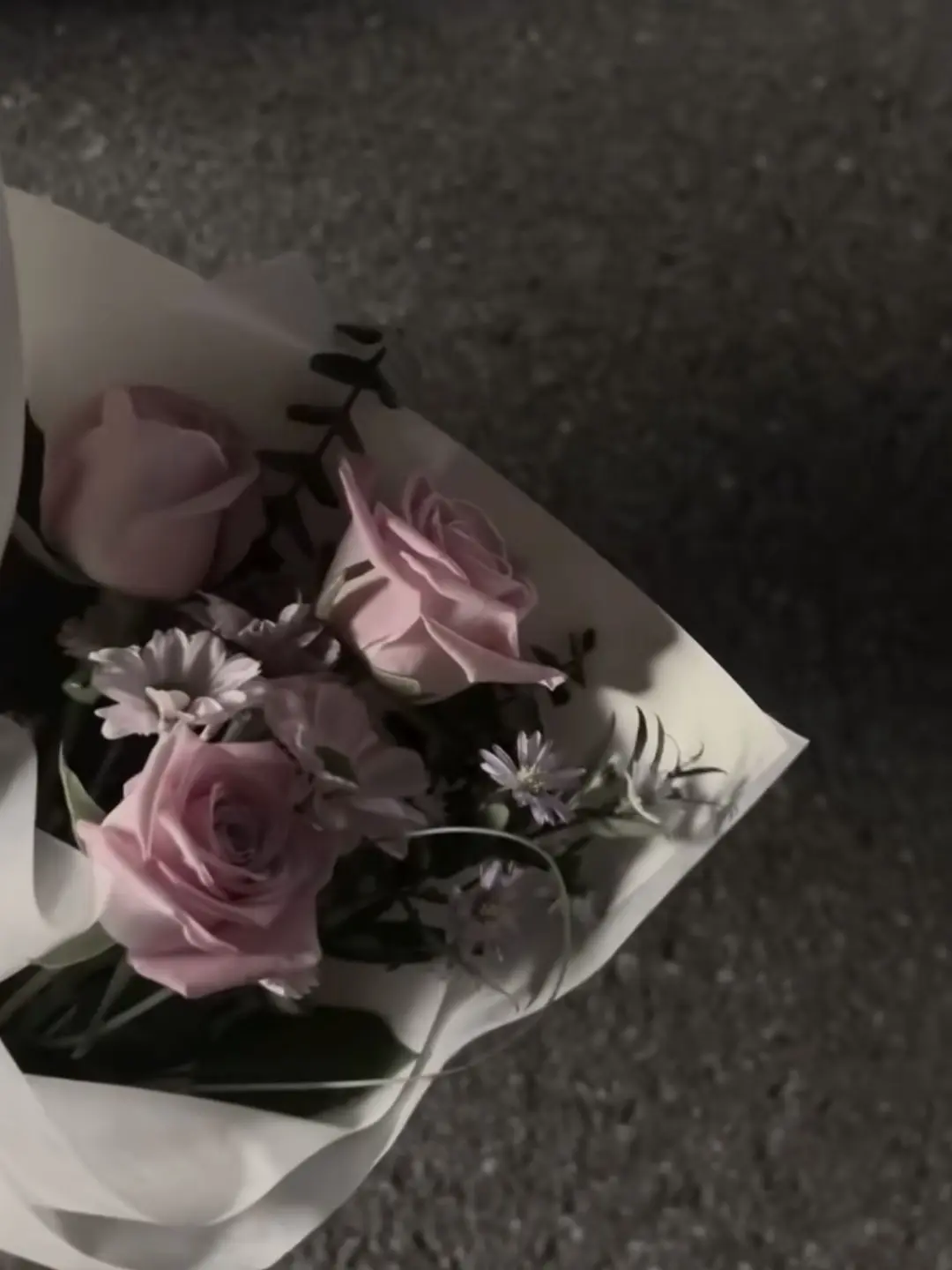 PoliteBloom5194의 fd