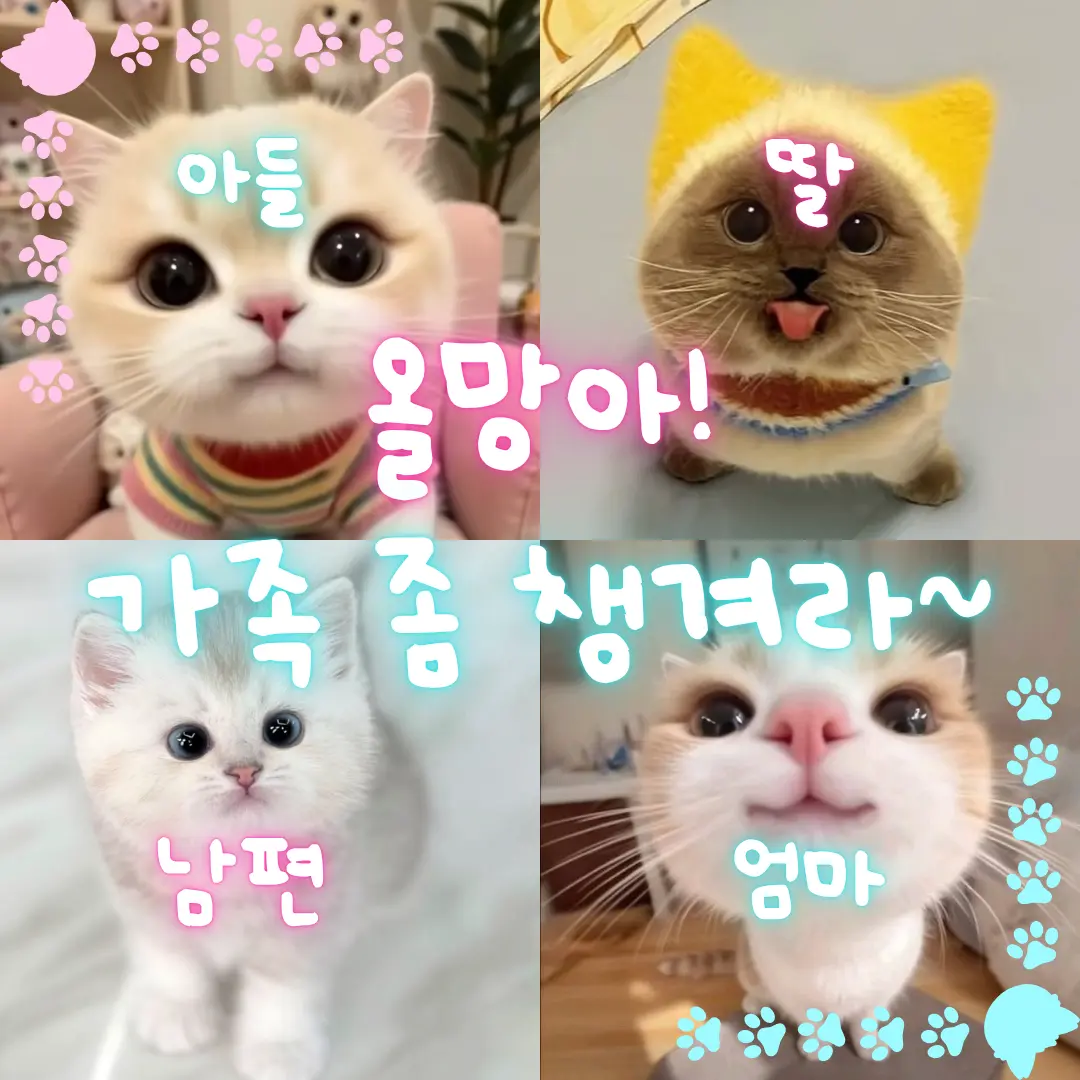 Olmangmother의 올망똘망 가족의 우당탕탕 가족생활!