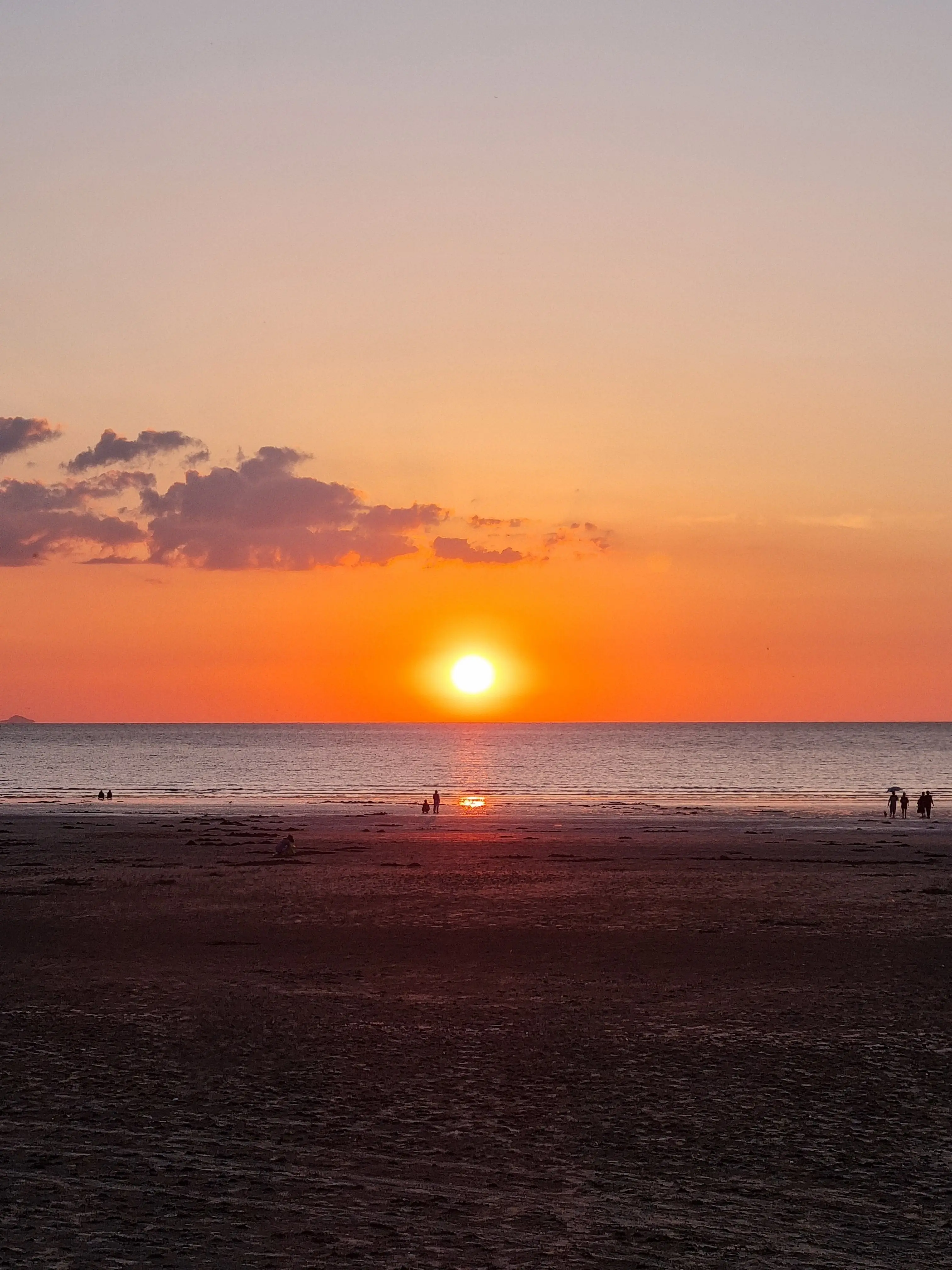 HungryCopy7467의 아이브 엔믹스 좀비 고등학교