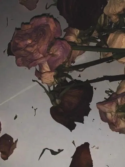 Hanjith의 시든 꽃 2