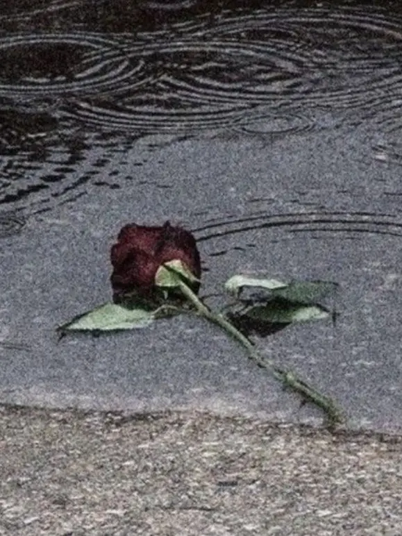 PoliteTrain0886의 F5