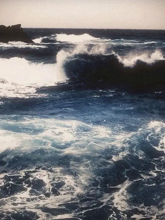 Tokyo_manji_gang.hxxnsxo의 カドオシロ