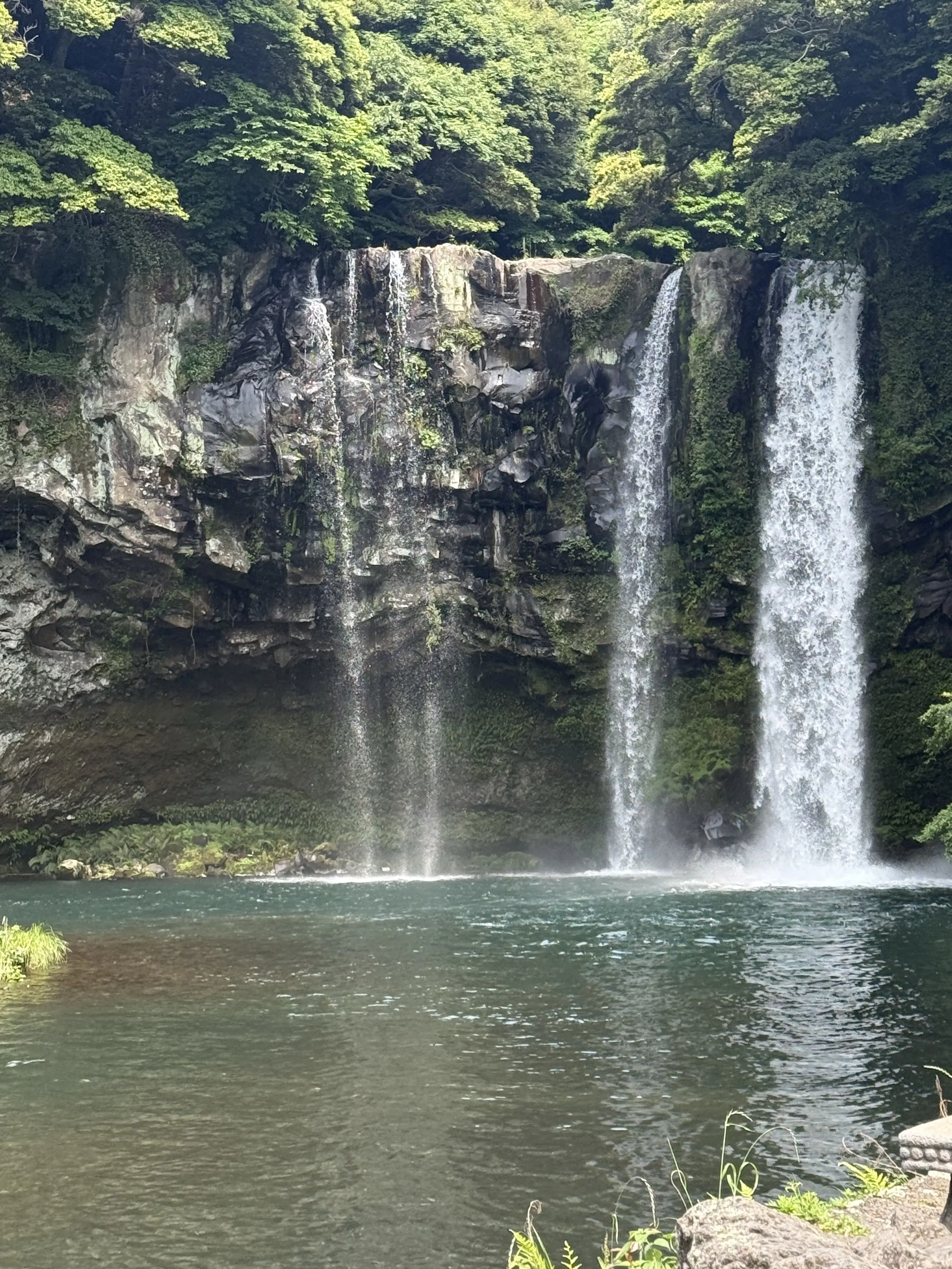 TenderMist9665의 귀멸의 칼날