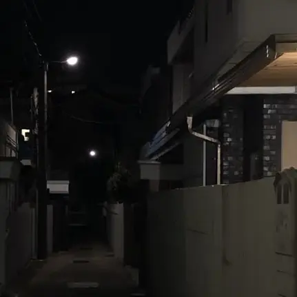 SSENG_1의 전이정