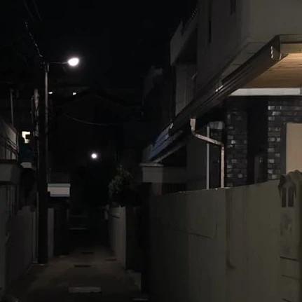 전이정