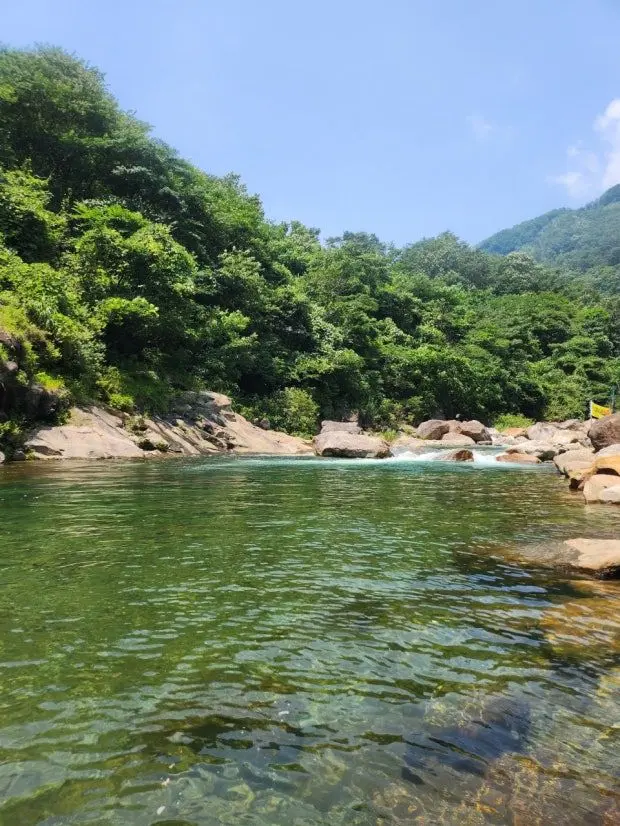 nimamnaemam의 '강철의 휴식' 펜션