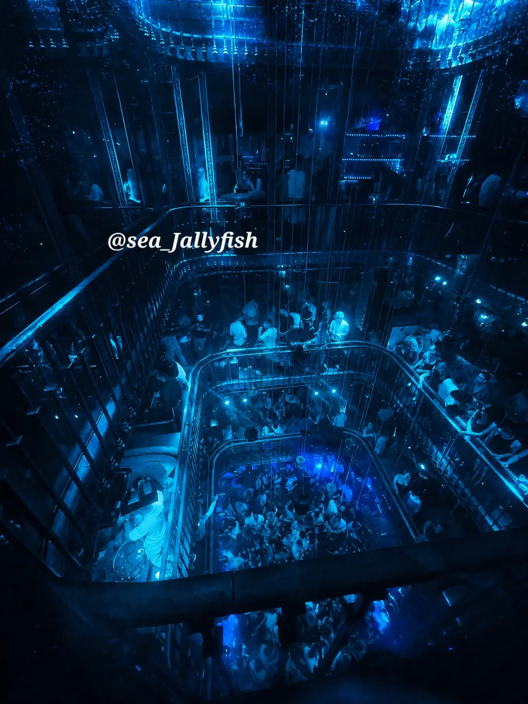 Sea_Jellyfish_0717의 ..반려 찾는게 이렇게 어려웠던가