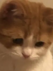 hak1010101010의 내 친오빠의 친구.