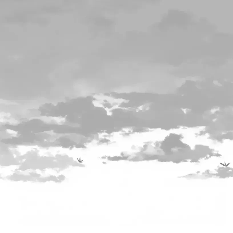 幼馴染 が 罵倒 してくる 。